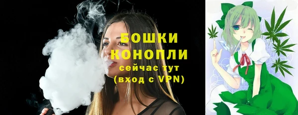 мдпв Козельск