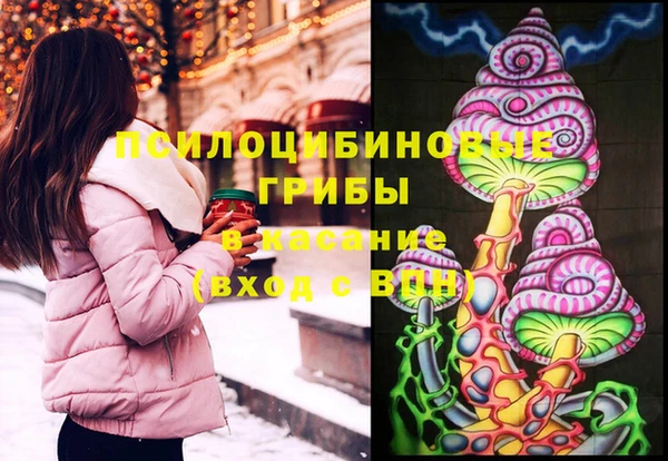 мдпв Козельск