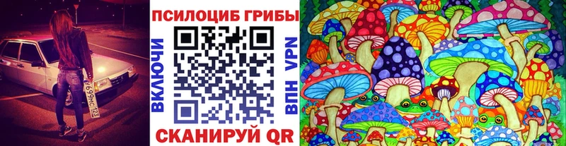 KRAKEN зеркало Микунь Псилоцибиновые грибы Psilocybine cubensis